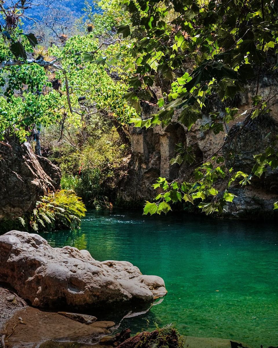 Poza de agua turquesa entre la vegetación en los Arquitos de Ayutla
